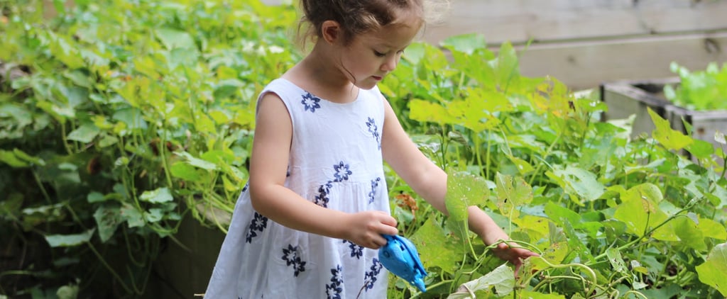 Growing a Garden With Kids Teaches Them More Than Healthy Eating Habits