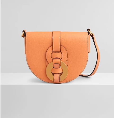 Shop the Chloé Darryl Saddle Bag