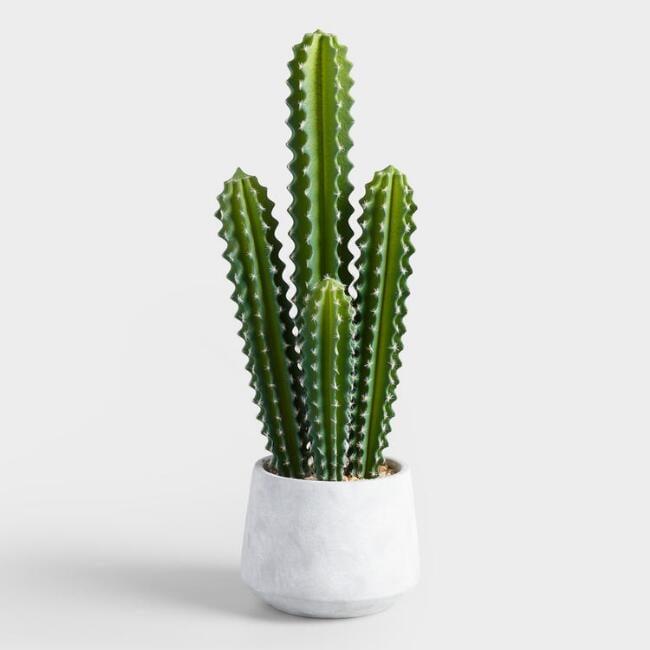 Faux Potted Senita Cactus
