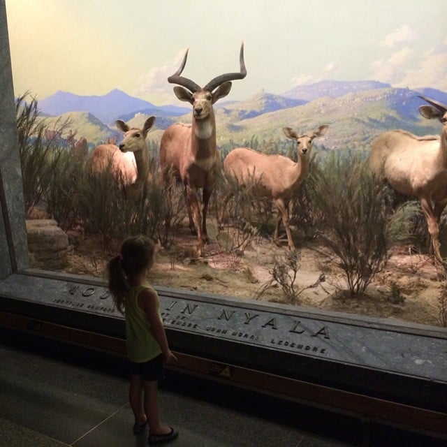 Harper Smith visited the American Museum of Natural History in NYC.
Source: Instagram user tathiessen