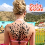 Taylor Swift "You Need to Calm Down" Song