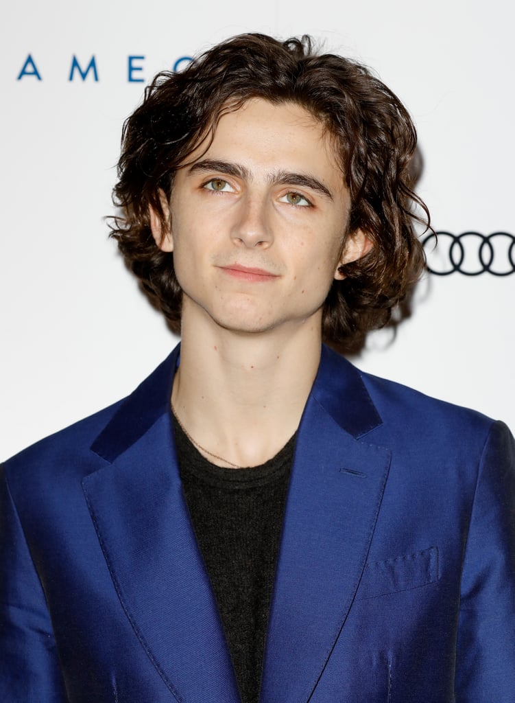 timothee chalamet pop funko