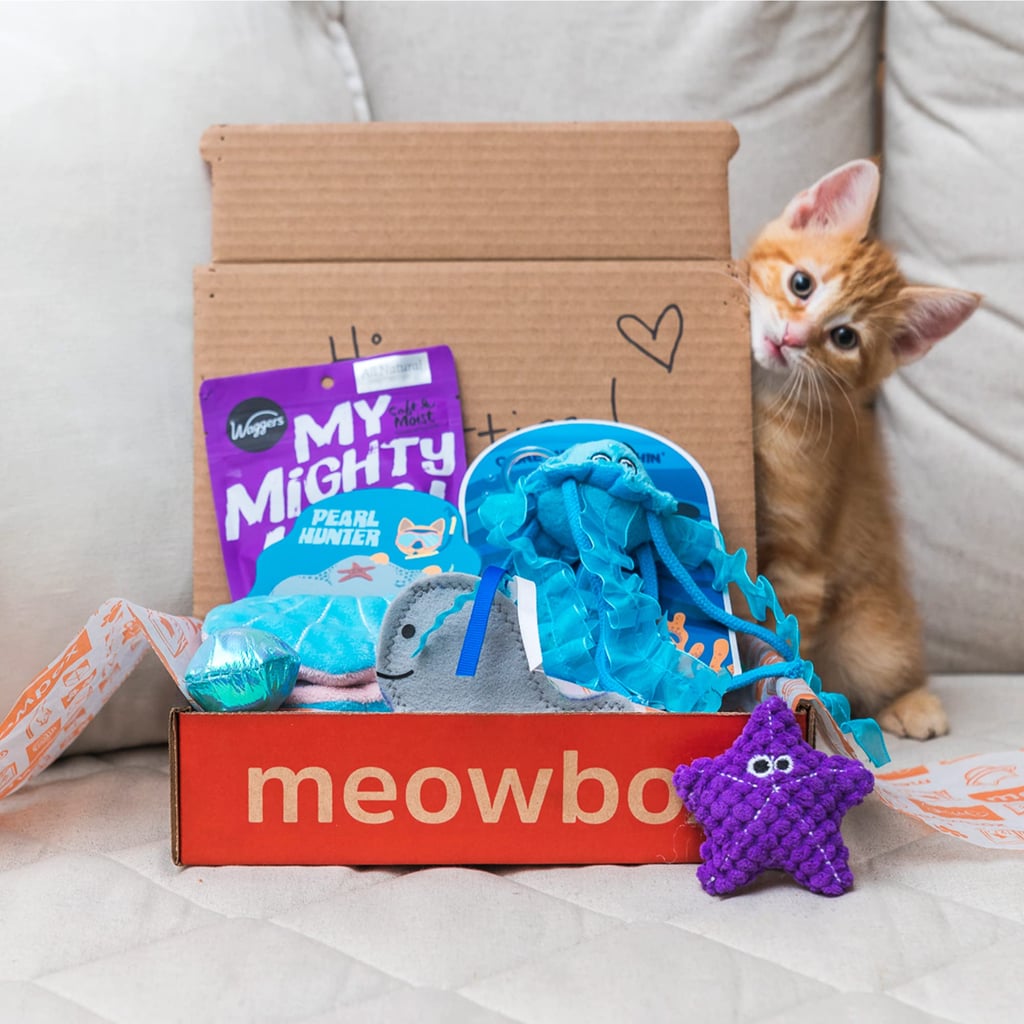 A Subscription Box For Cat Parents: Meowbox
