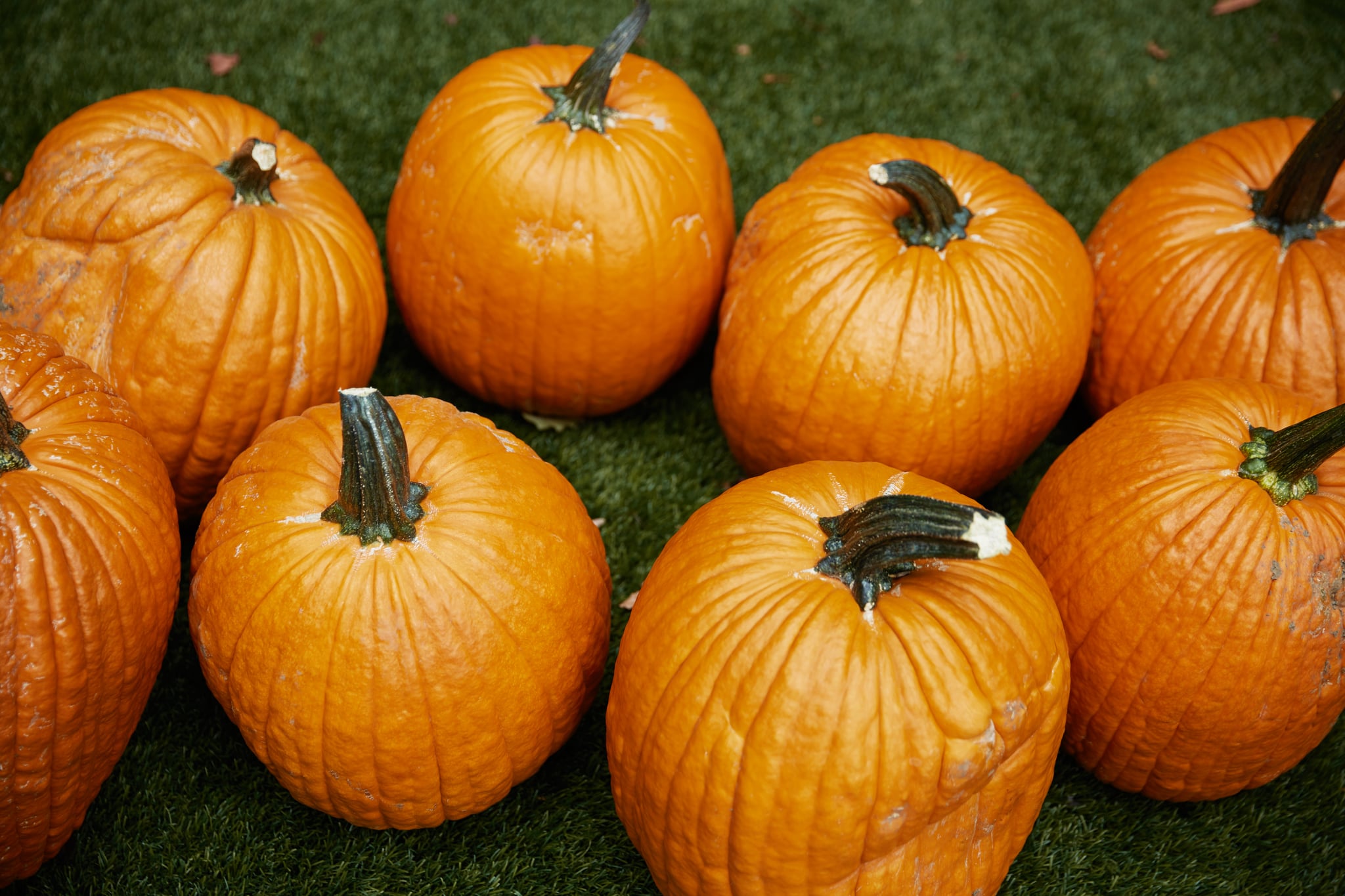 How Has Halloween Become Popular In Australia Popsugar Australia Smart Living