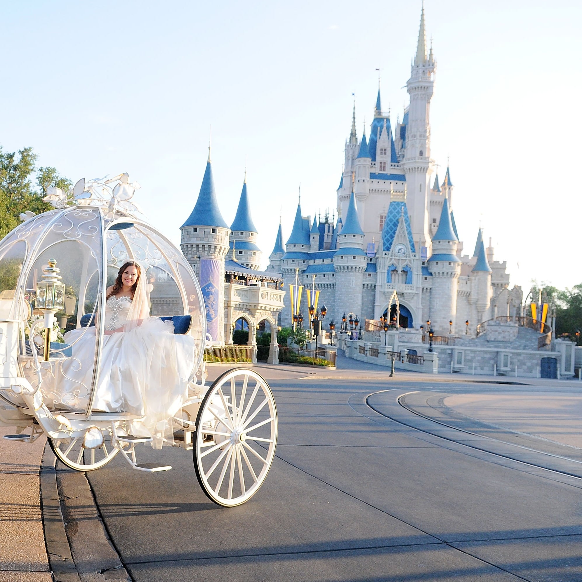 Disney orlando wedding on sale
