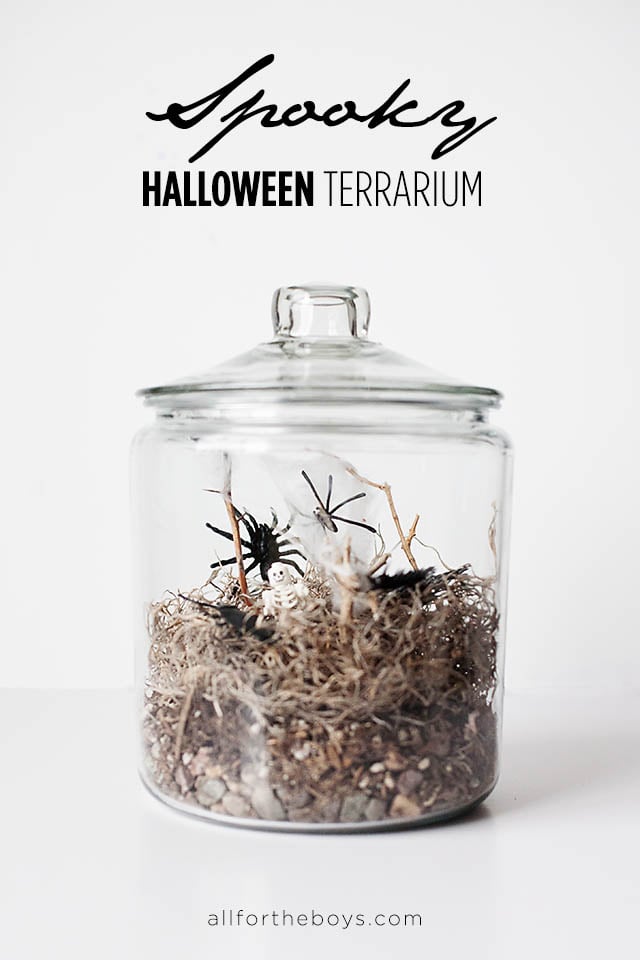 Spooky Halloween Terrarium