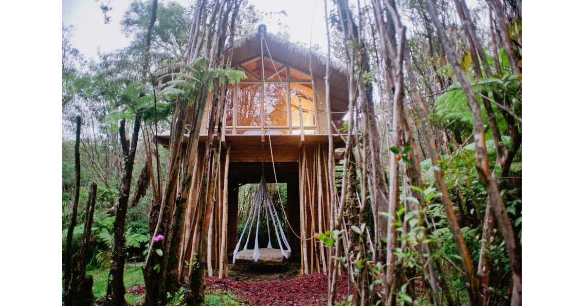 Tree House in Hawaii POPSUGAR Smart Living Photo 17