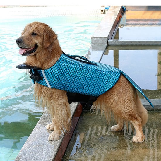 Mermaid Life Jacket For Dogs
