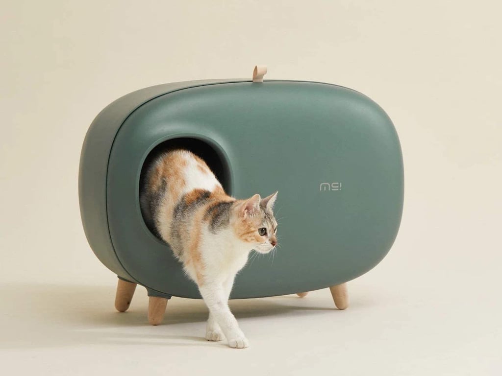 MS Cat Litter Box