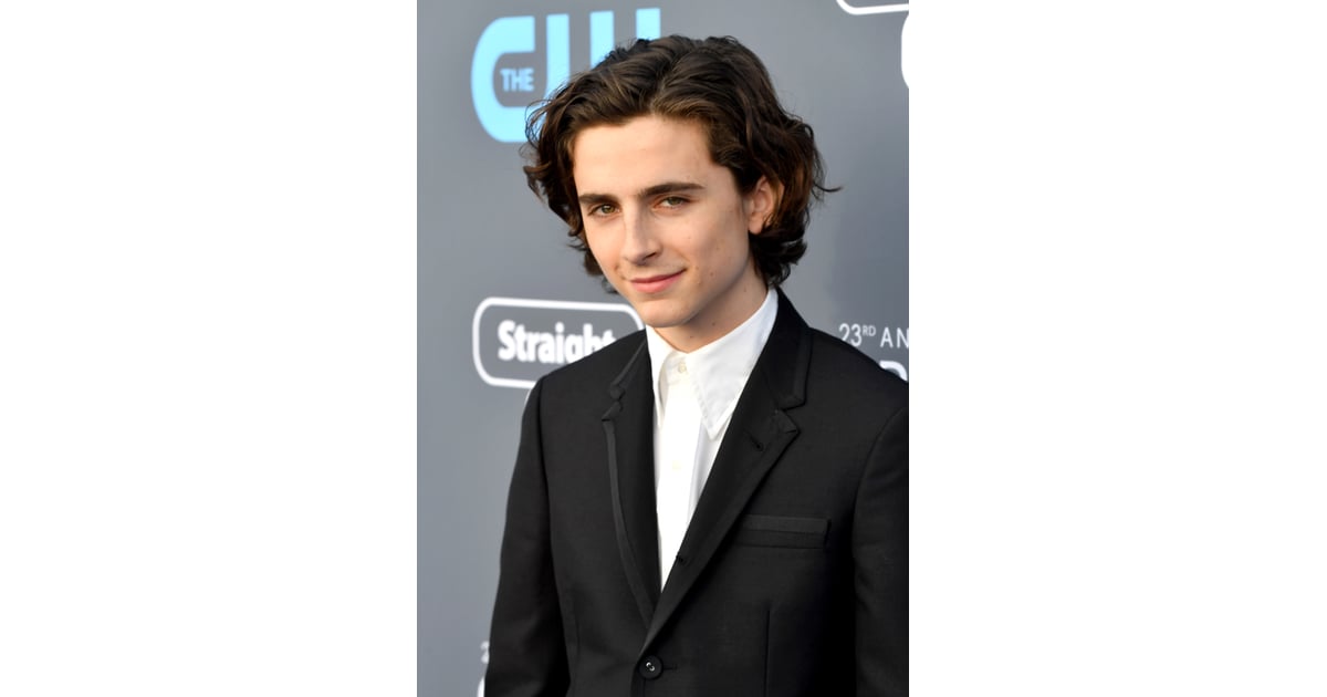 timothée chalamet funko pop
