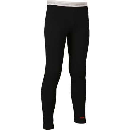 Icebreaker leggings