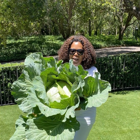 Oprah Winfrey's Video of Her Gigantic Cabbage on Instagram