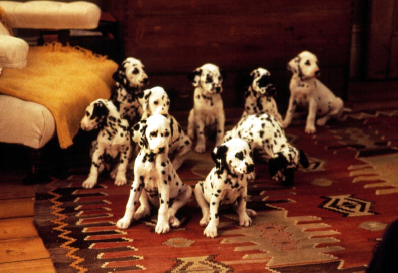 The Puppies in 101 Dalmatians