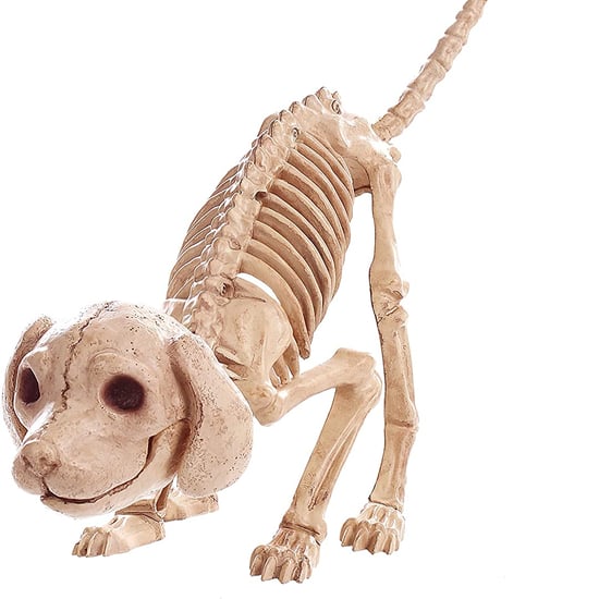 Dog-Skeleton Halloween Decor
