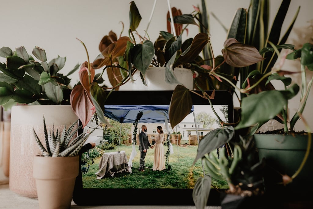 Couple Live-Stream Elopement From Backyard Amid Coronavirus