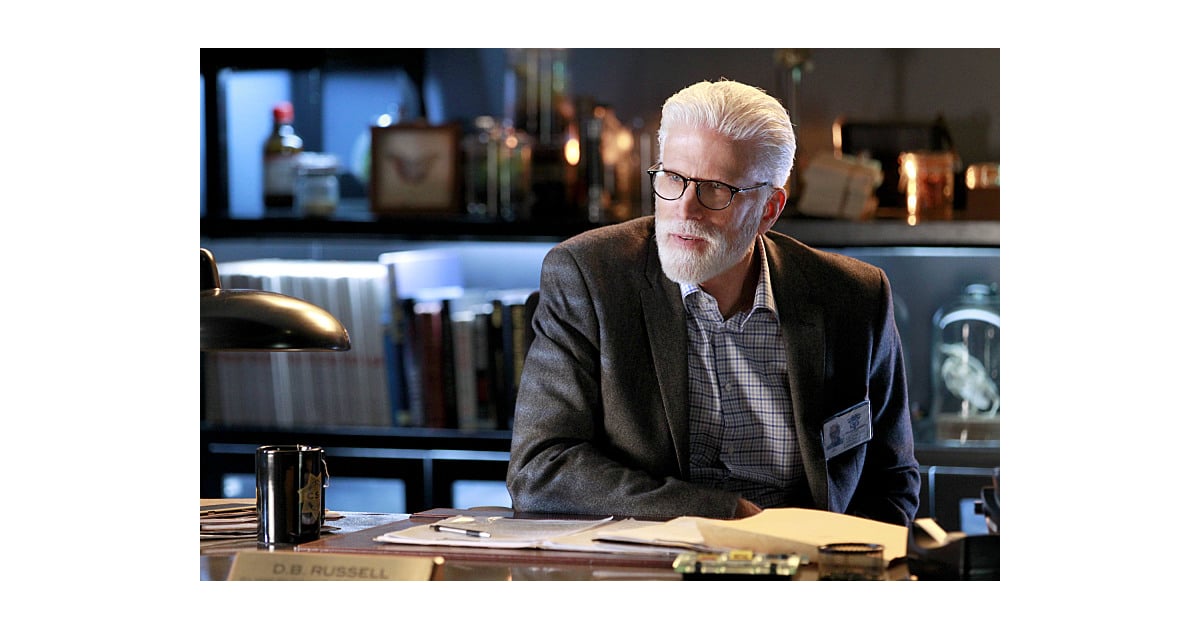 CSI Canceled TV Shows 2015 POPSUGAR Entertainment Photo 19
