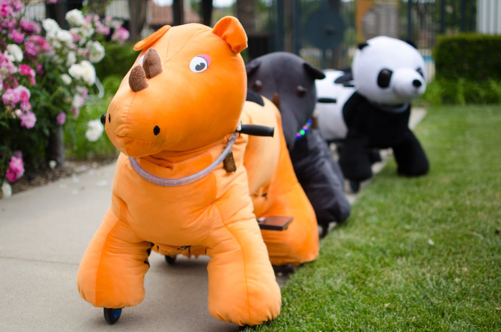 Safari First Birthday Party