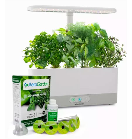Herbs Seed Pod Kit