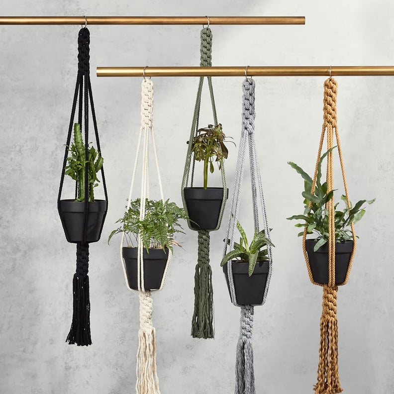 Yerbamala Designs Plant Hangers