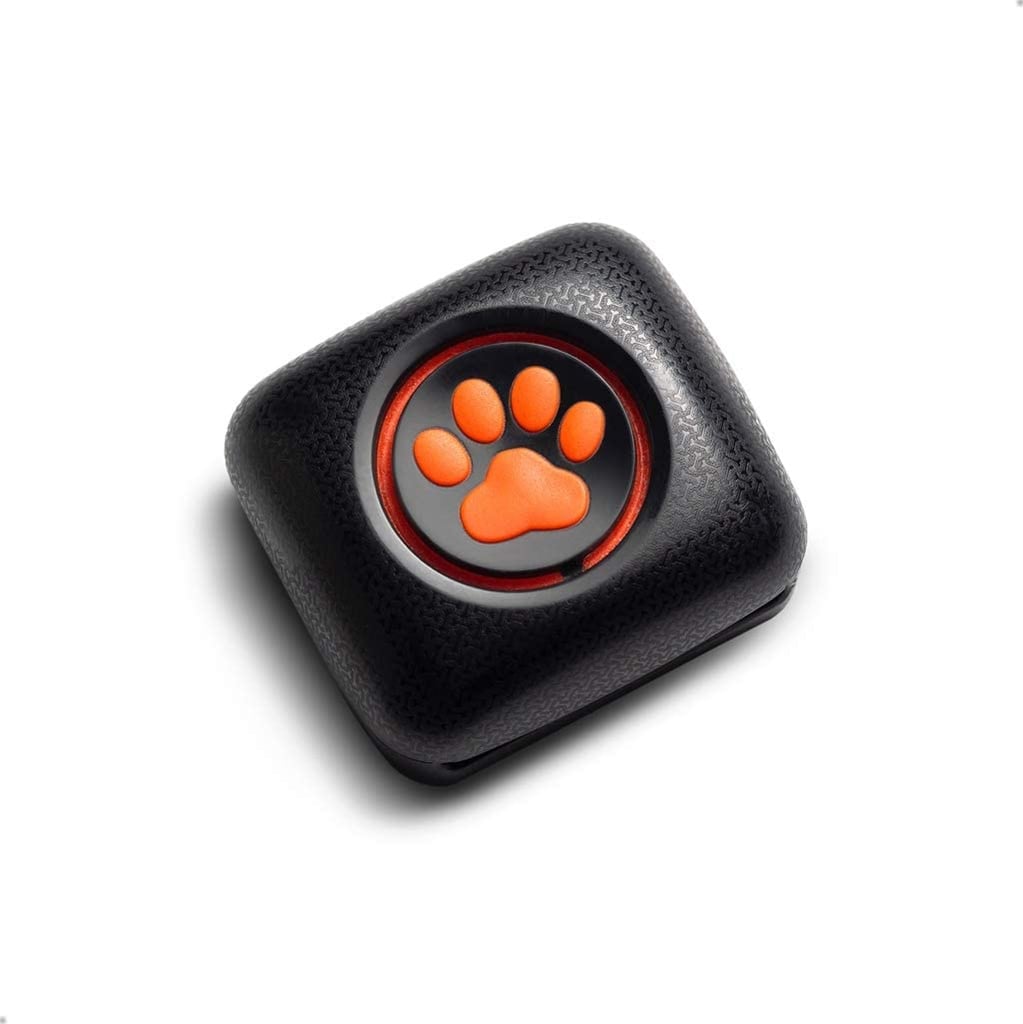 For Your Dog: PitPat Dog Activity Monitor and Fitness Tracker