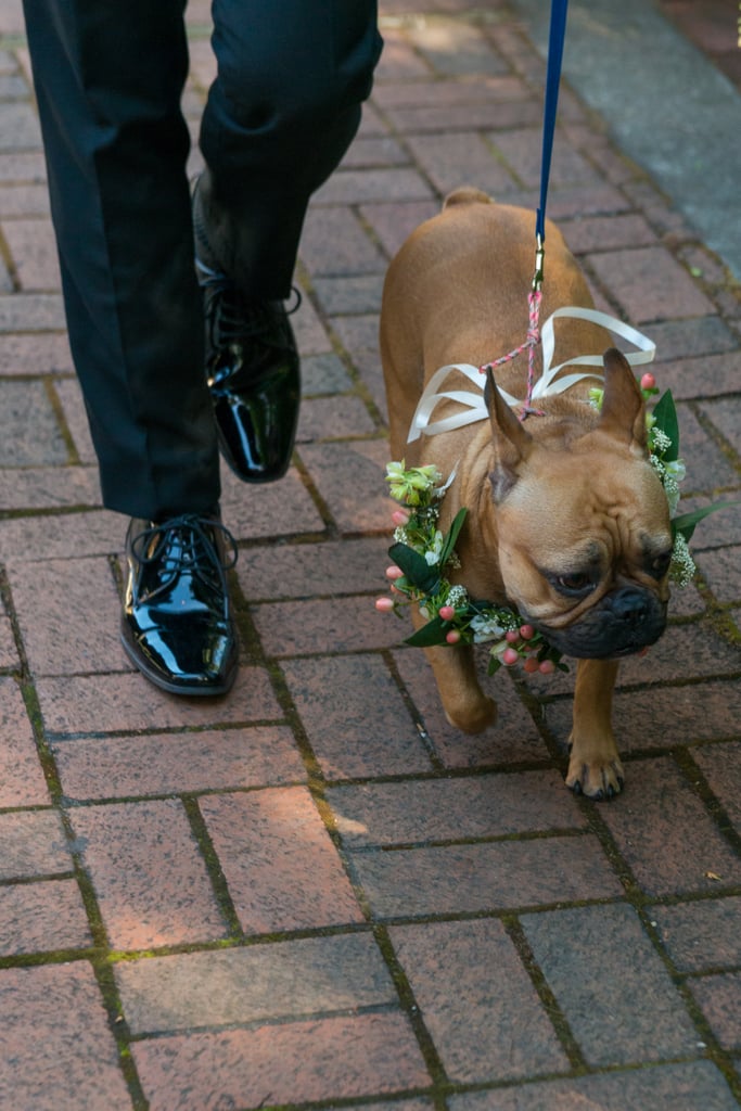 Dogs in Weddings