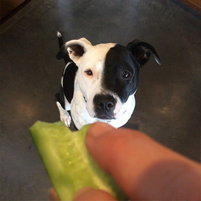 "Sophie loves a cucumber," Jen captioned this cute photo.