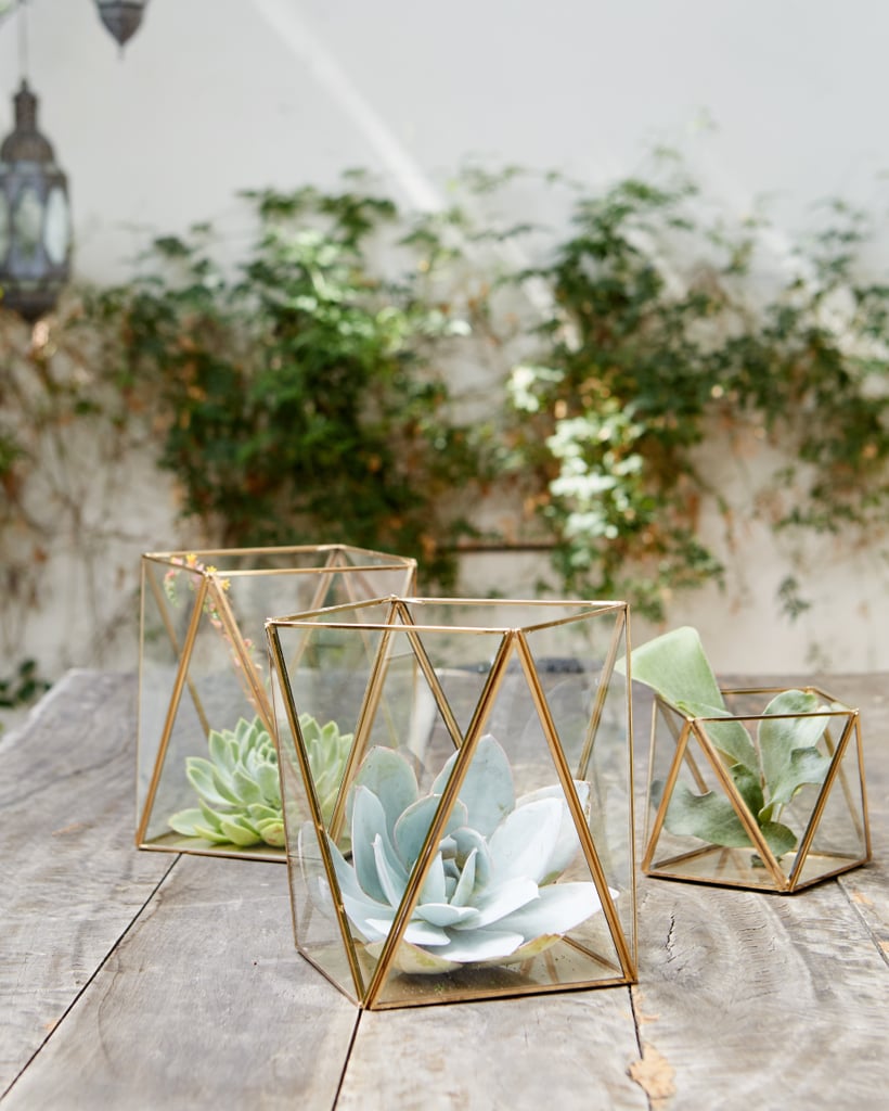 Glass candleholders ($60 for two) are great because they look beautiful filled with soft flickering lights for a dinner party or succulents for a daytime gathering.