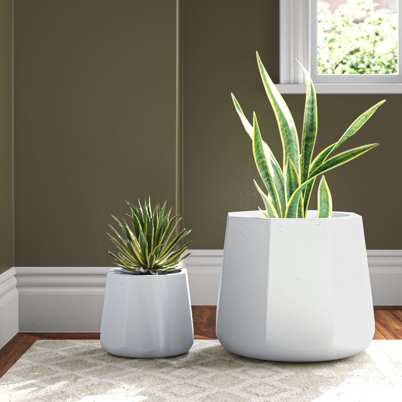 Versus 2-Piece MgO Pot Planter Set