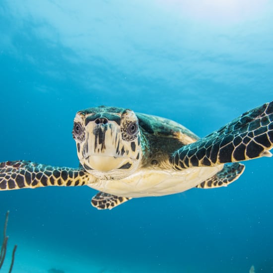 17 Reasons You Need to Visit the Cayman Islands ASAP