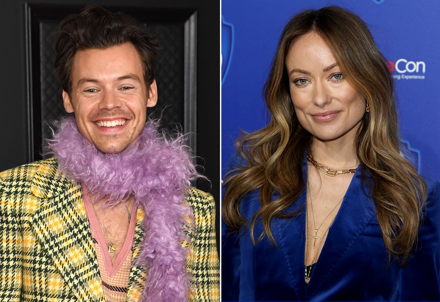harry styles and olivia wilde