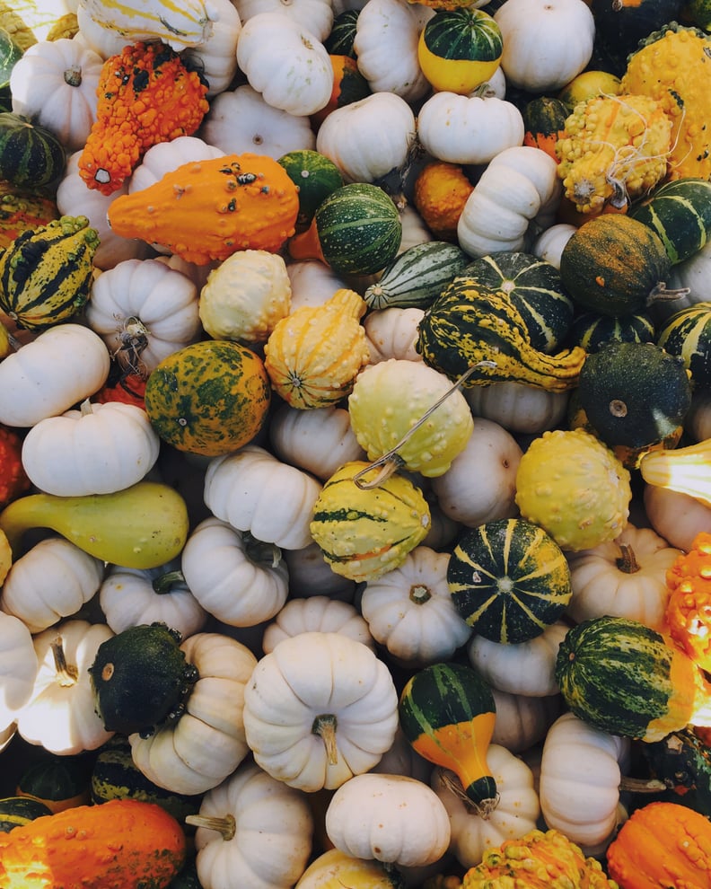Seasonal Pumpkins iPhone Wallpaper