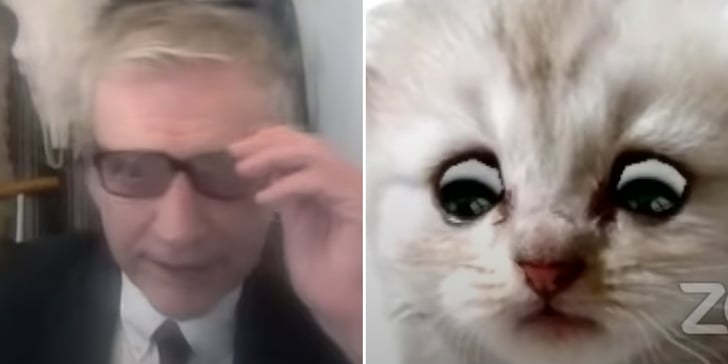 Lawyer Joins Zoom Call With Cat Filter | Video | POPSUGAR ...