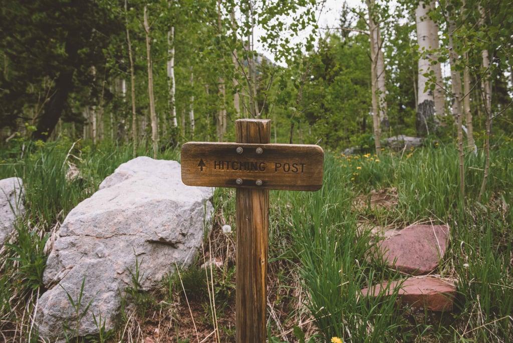 Mountainside Elopement