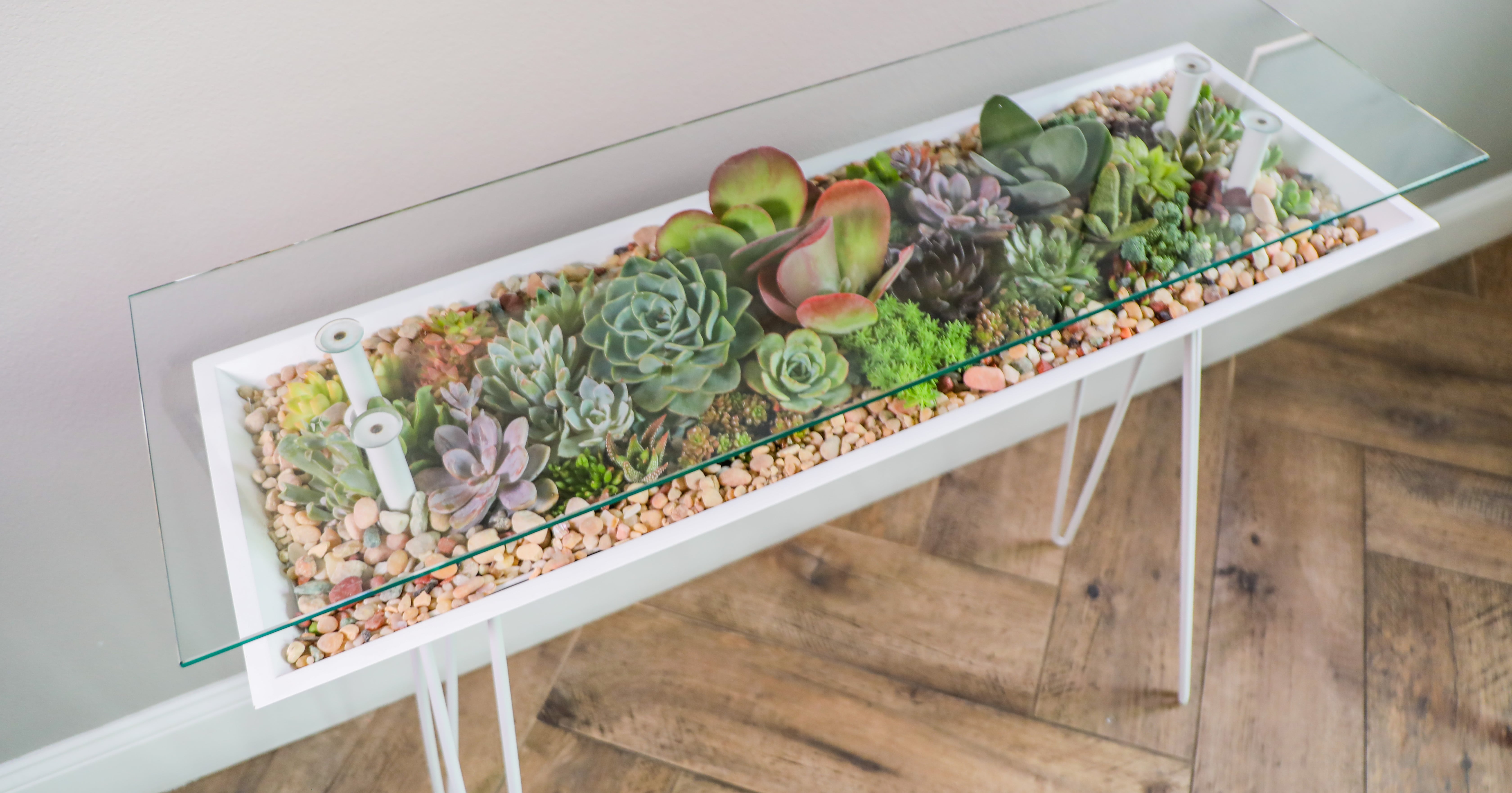 Succulent sales coffee table