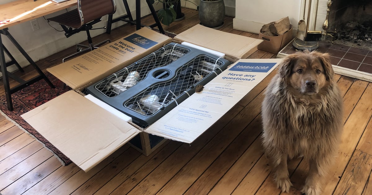 The Diggs Revol Dog Crate Review POPSUGAR Pets