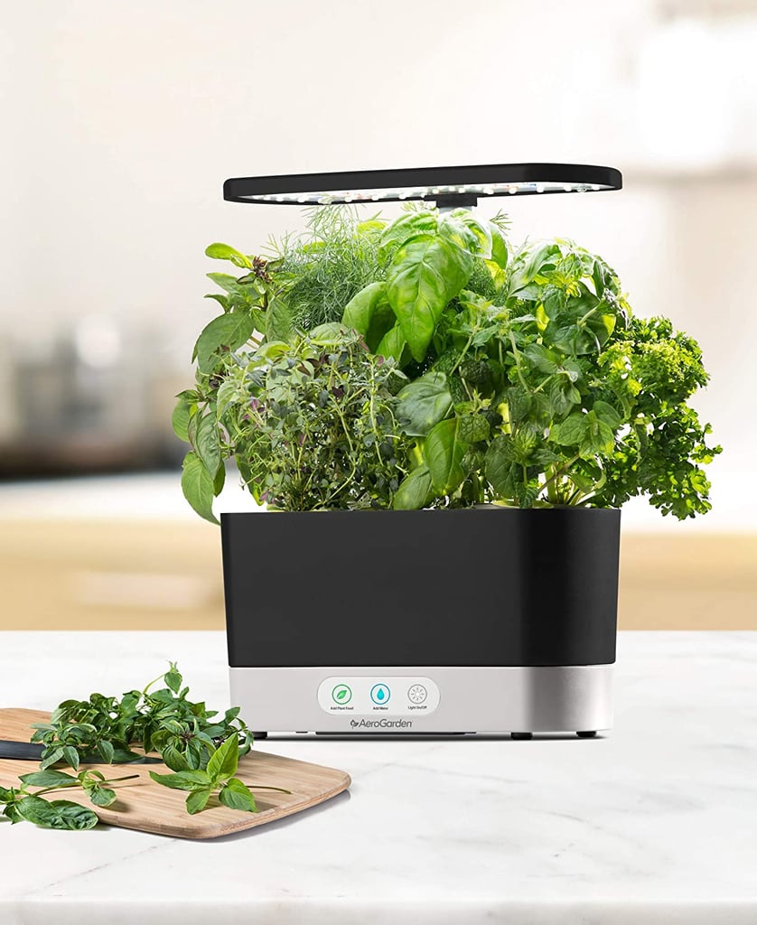 For the Green Thumbs: AeroGarden Harvest-Black Indoor Hydroponic Garden