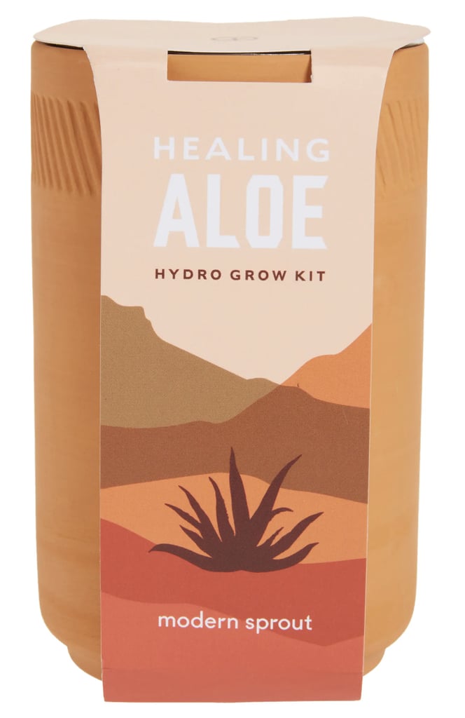 For the Plant Parent: Modern Sprout Healing Aloe Terra Cotta Hydro Grow Kit