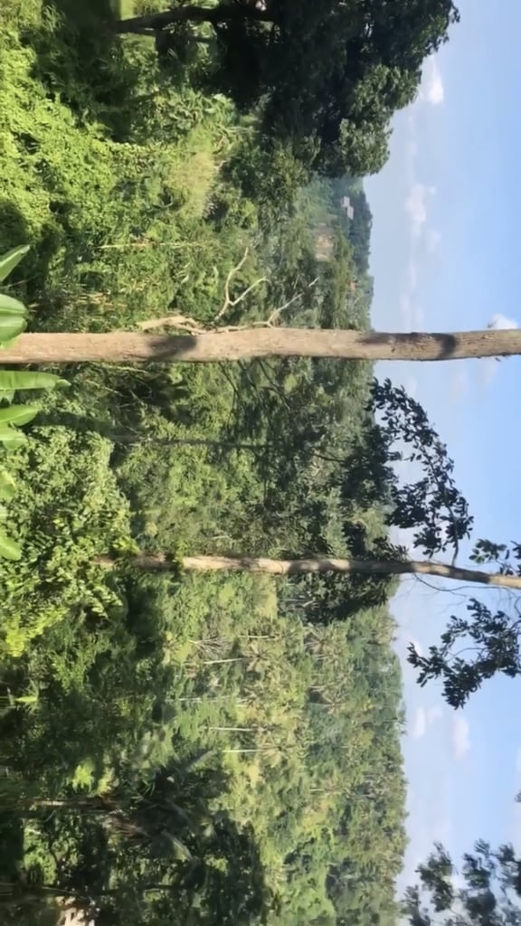 Kim Kardashian and Kanye West's Vacation Photos in Bali 2019