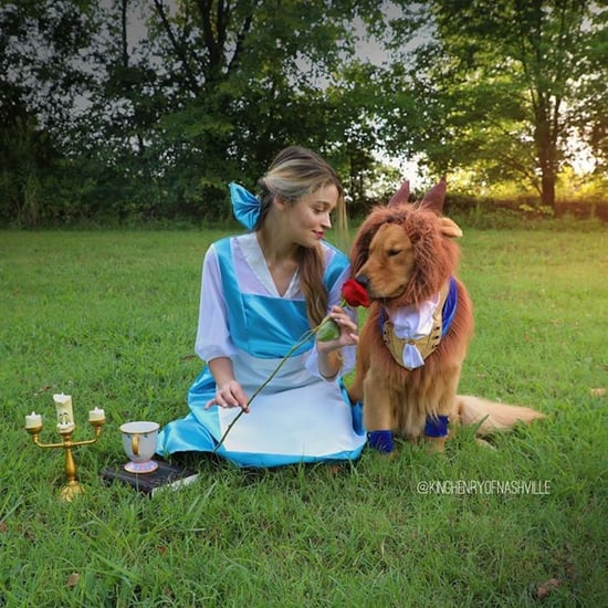 Beauty and the Beast Halloween Costume For Dogs