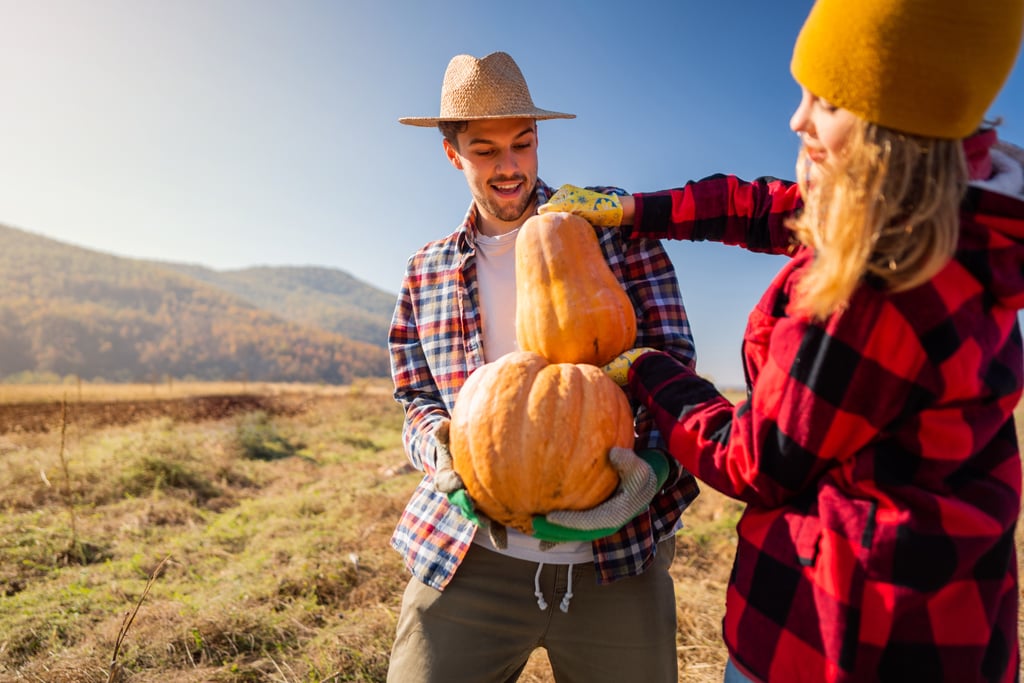 Visit a Pumpkin Patch