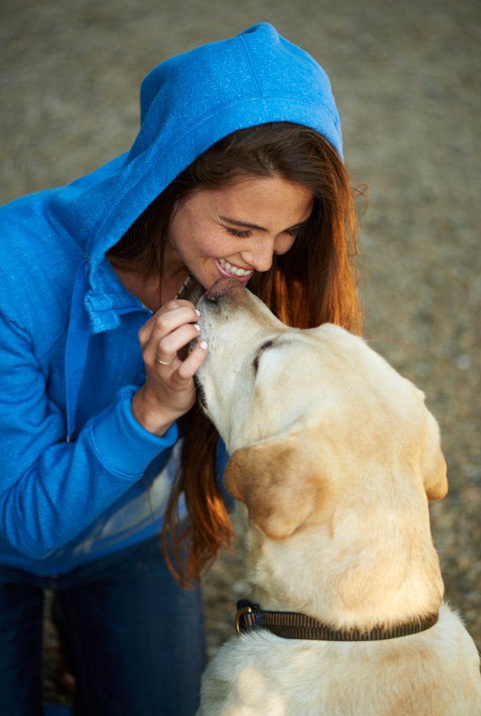 does-dog-food-affect-dental-health-popsugar-pets