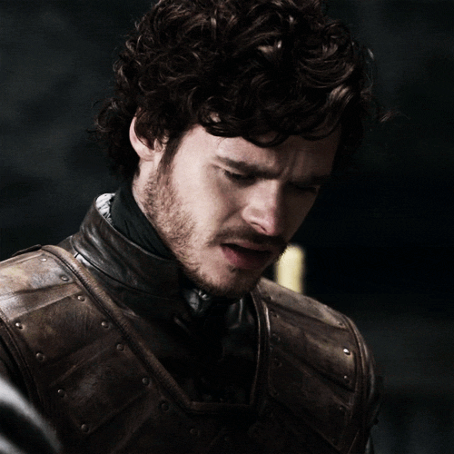And Robb, wearing the same coat of plates.