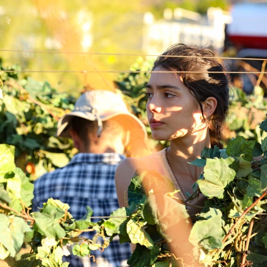 Hulu's "Promised Land" Touches on Latinx Farmworkers