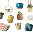 Stylish Plant Holders to Refresh Your Home For Under $25