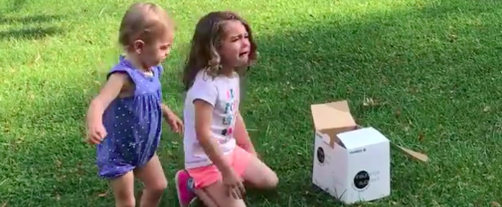 Toddler Throws a Tantrum Over Sibling's Gender Reveal