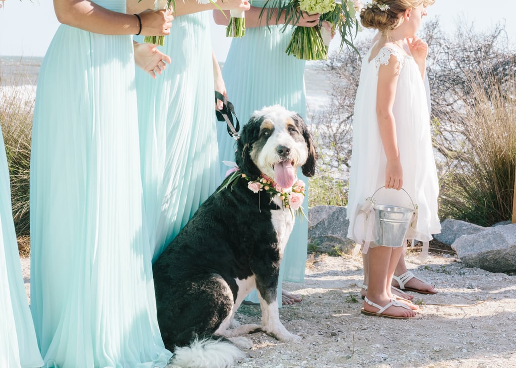 Dogs in Weddings