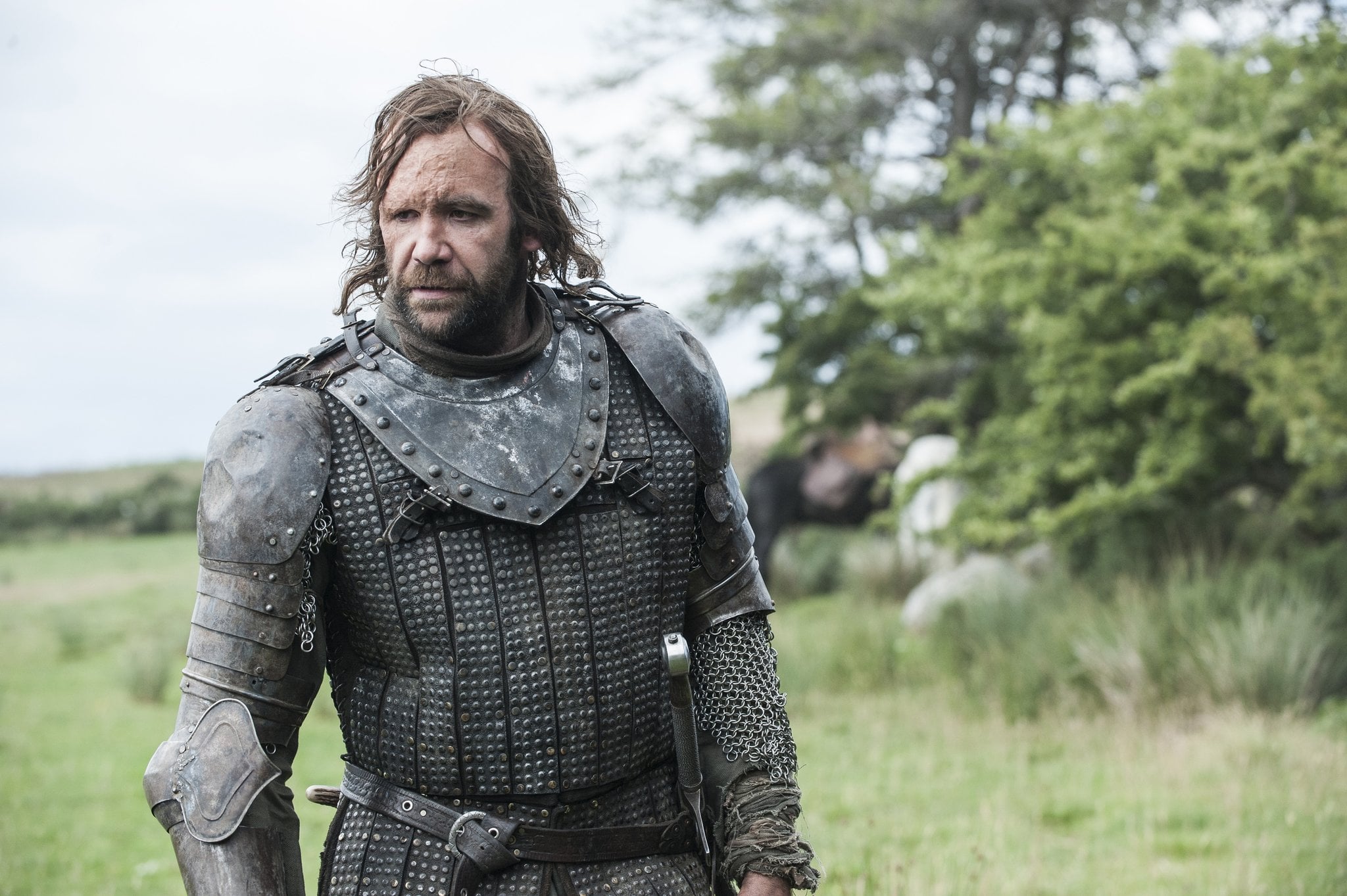 What Happened to the Hound's Face on Game of Thrones? POPSUGAR