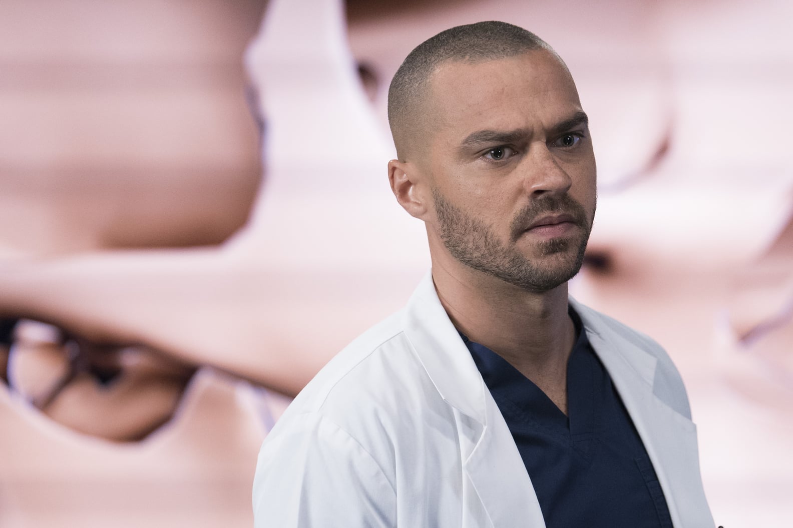 Grey's Anatomy Season 15 Cast | PS Entertainment