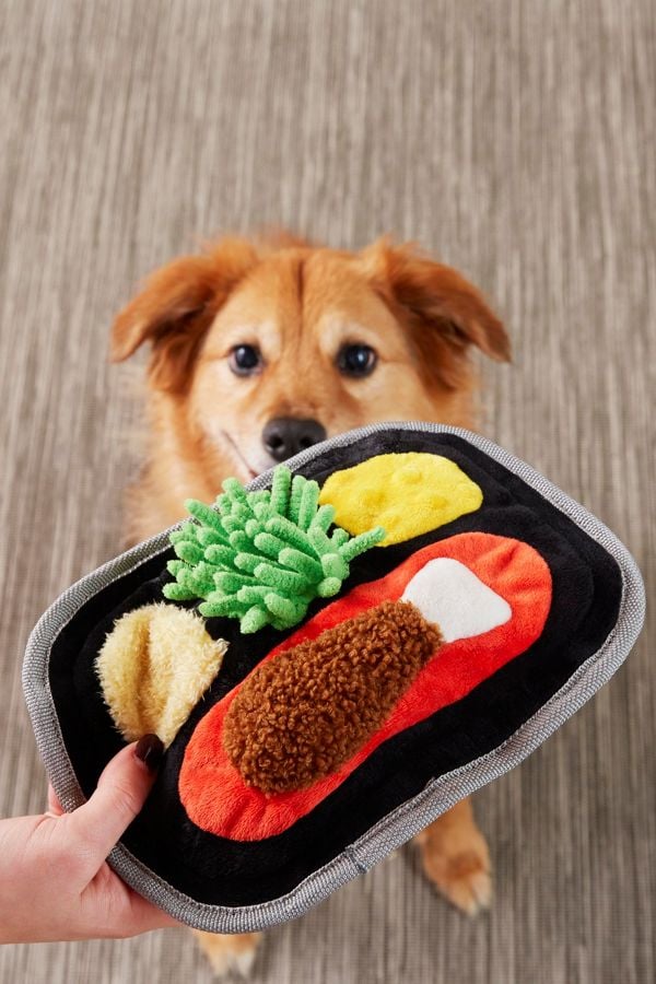 bark brew dog toy