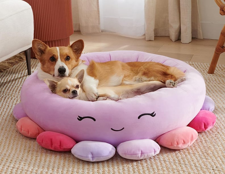 Best Squishmallow Dog Bed